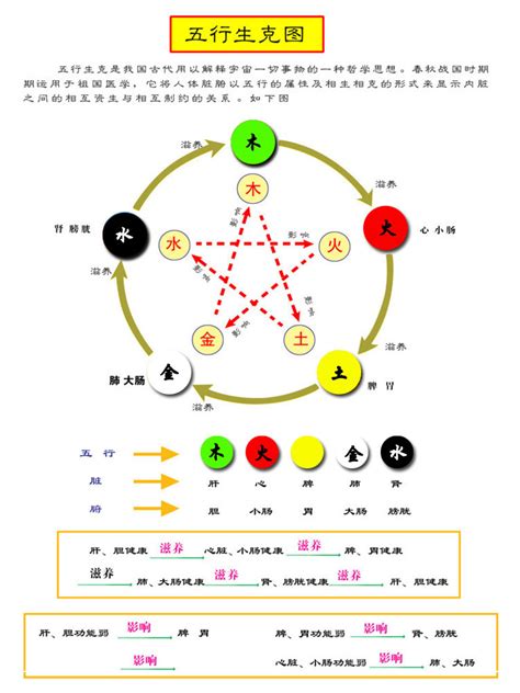 啡色五行屬性